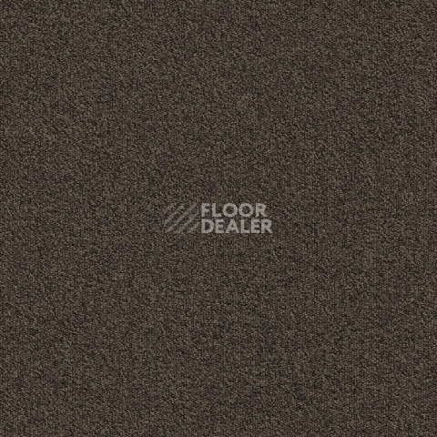 Ковровая плитка Modulyss Millennium Nxtgen Millennium Nxtgen 883 фото 1 | FLOORDEALER